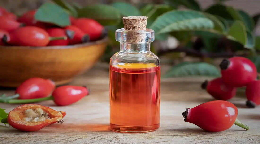 Rosehip Oil: A Powerhouse in Natural Lip Care! Delipso