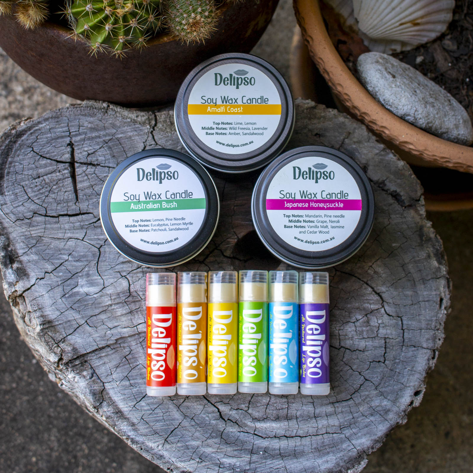 Delipso soy wax candles and lip balms in various scents on a wooden surface with a cactus in the background.