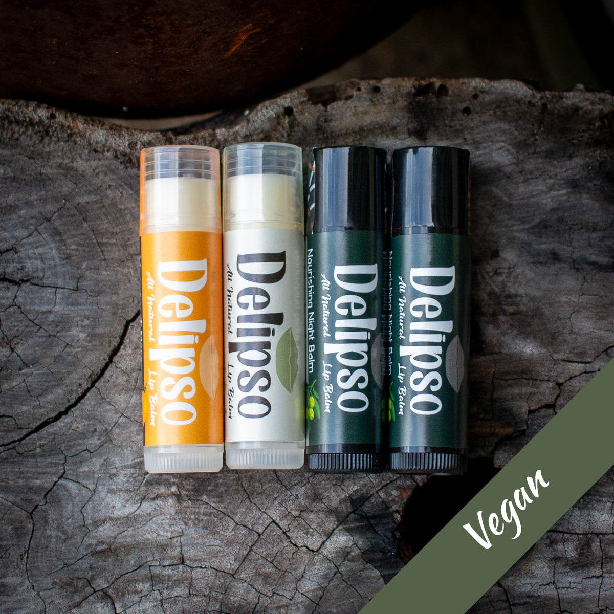 The Vegan Favourites Lip Care Bundle | 4 Vegan Lip Balms Delipso