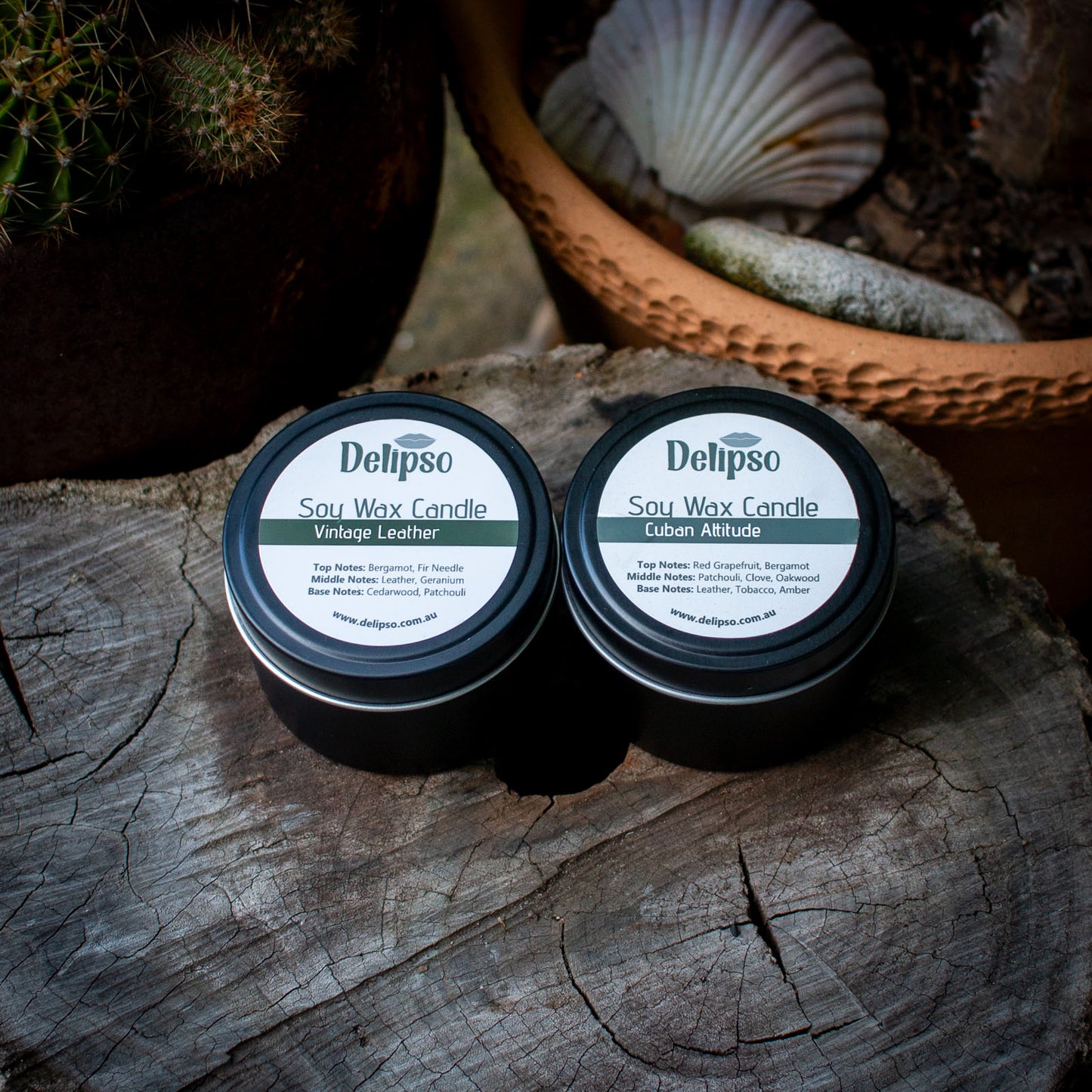 2 Pack of Coconut Soy Candles – 90g Travel Tin