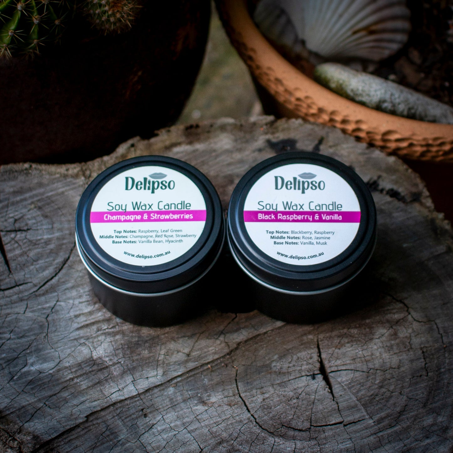 2 Pack of Coconut Soy Candles – 90g Travel Tin