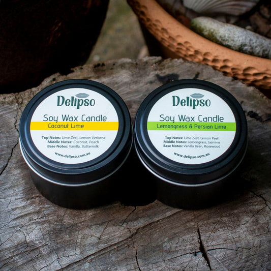 Two Delipso soy wax candles on a wooden surface with a cactus and seashell in the background.